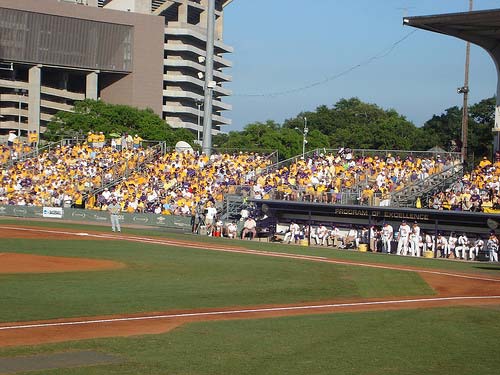 The fans decked out in gold.